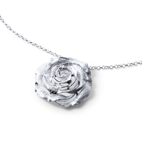 PENJOLL ROSA GRAN DE PLATA